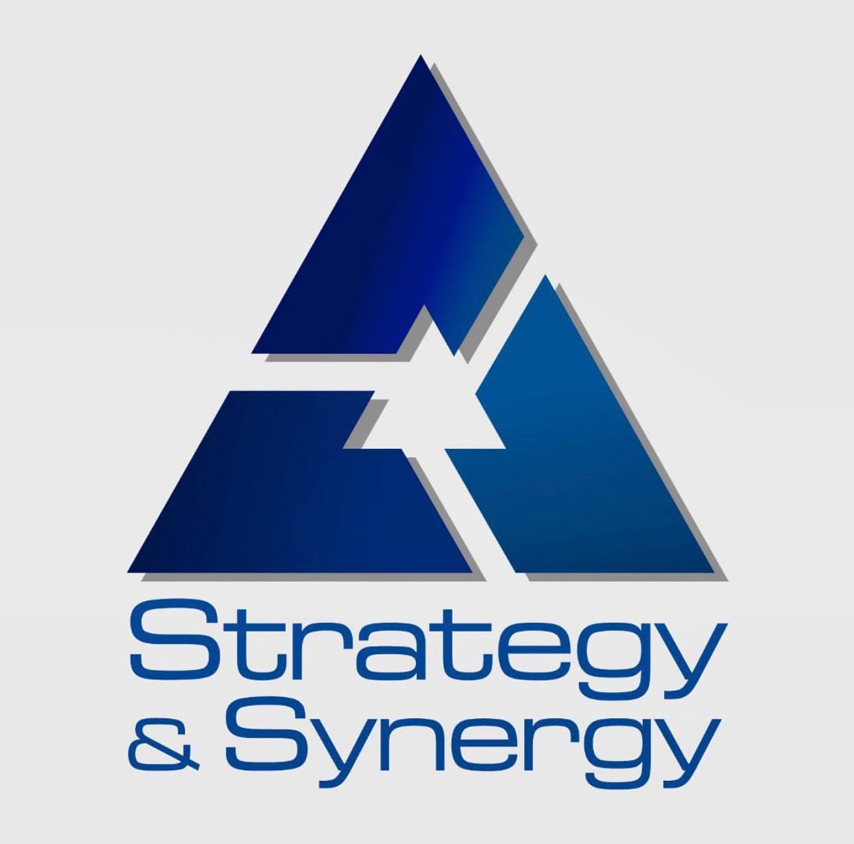 Strategy & Synergy Logo